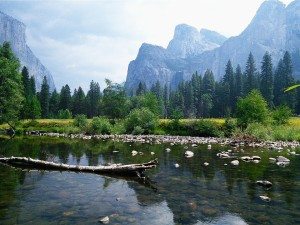 Yosemite is one of my favourite places on earth. This photograph of Yosemite Valley was taken near to where our cabin was. It’s hard to describe how removed it felt from our world today – a picture speaks a thousand words