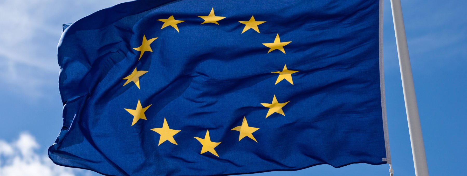 Europe EU flag referendum