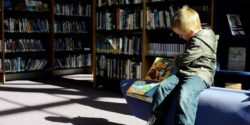 Small child sitting in a library