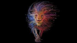 Lion Image