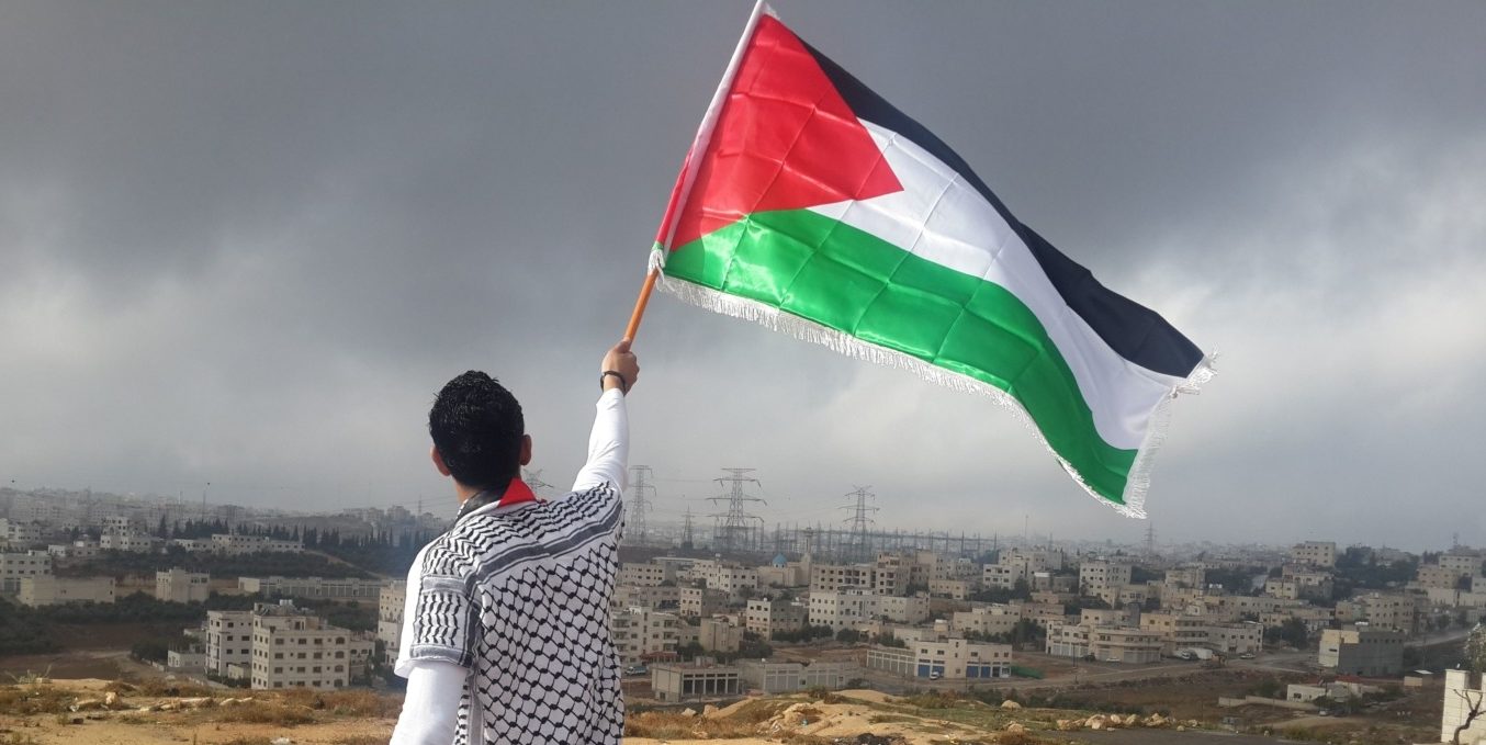 Man waving a Palestine flag