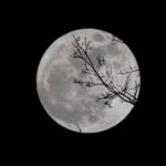 Full Moon Image