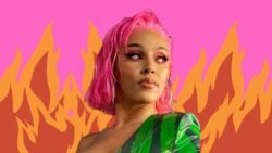 Album of the month: Doja Cat’s ‘Hot Pink’ - The Boar