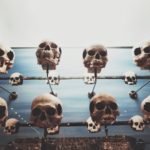 skulls on a row - charlotte