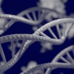 The future of genetic medicine: CRISPR explained