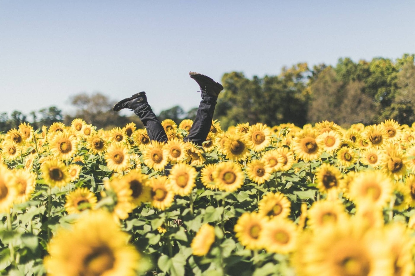 Why Summer Is The Perfect Setting For Coming of age Books The Boar