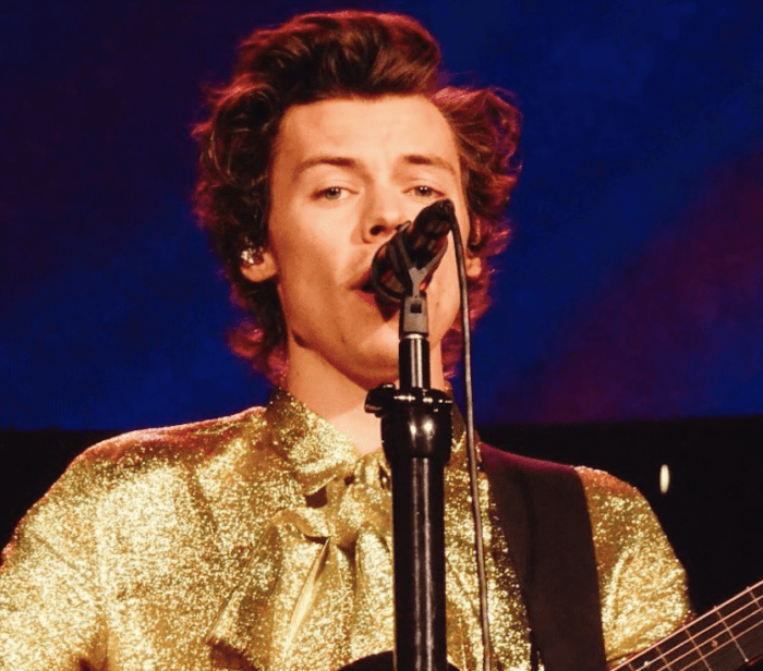 harry styles bogue cover