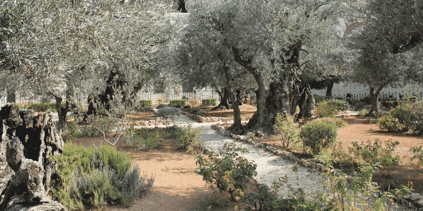 Garden/ Image: Wikimedia Commons
