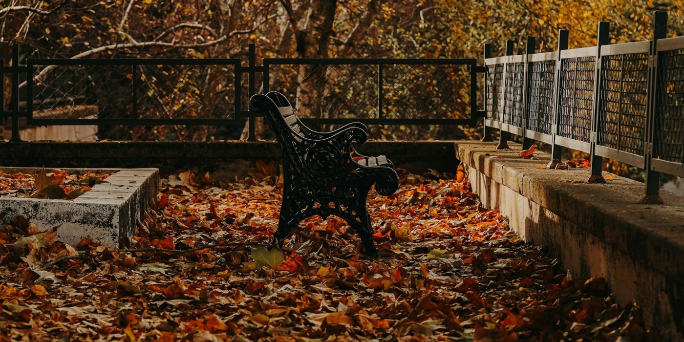 Autumn bench/ Image: Fatih Güney/ Pexels