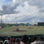 A Minor League Baseball Stadium