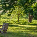 garden/ Image:Robert Katzki/ Unsplash