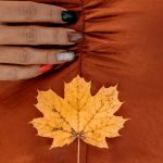 Image: Joel Zar/ Pexels