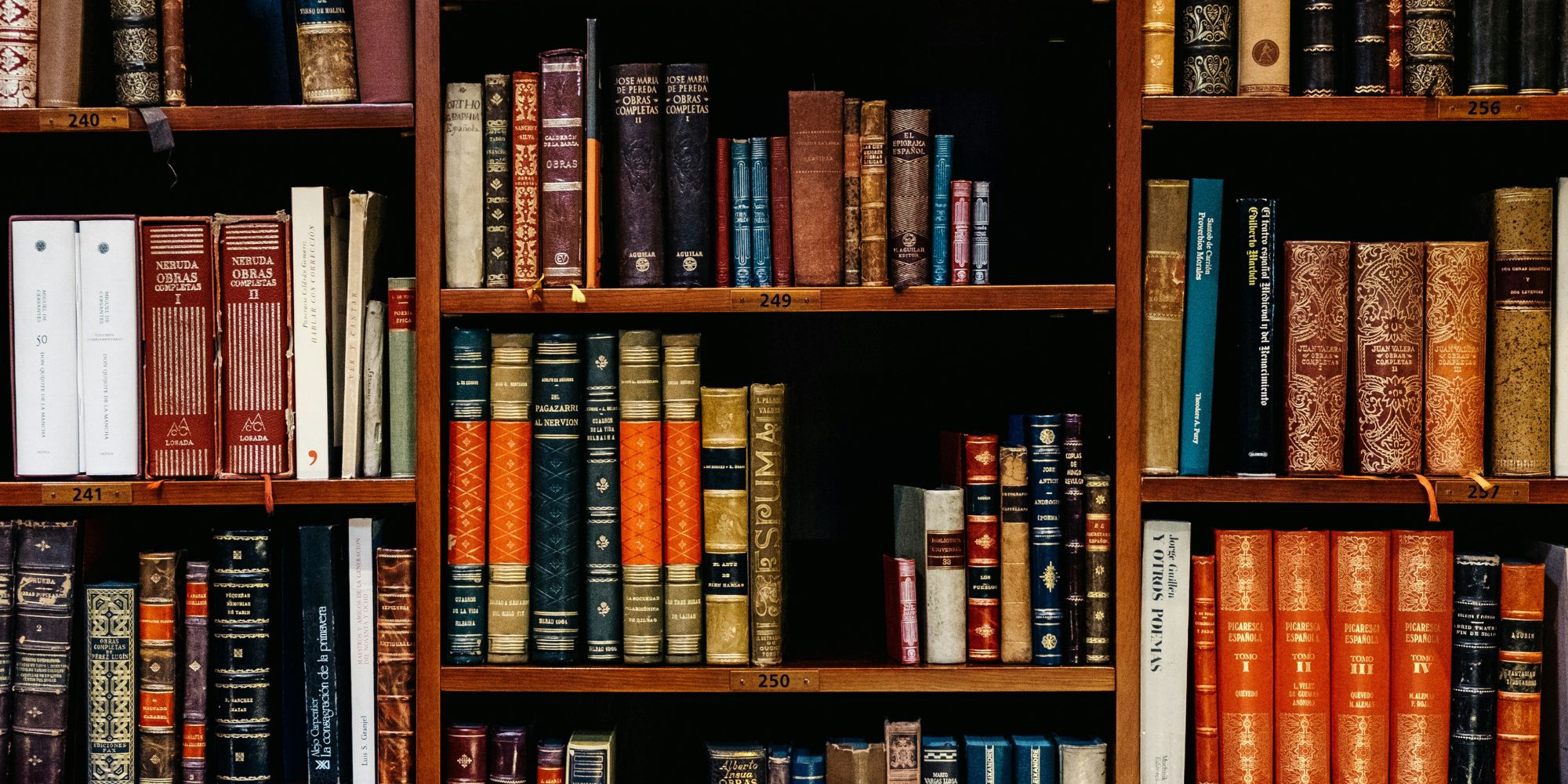 Image: Iñaki del Olmo/ Unsplash