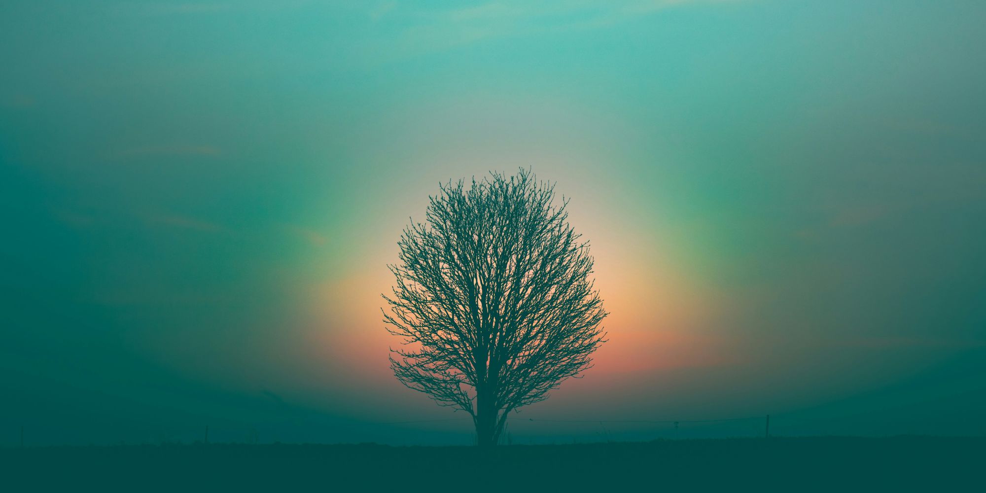 Image: Marek Piwnicki/ Unsplash