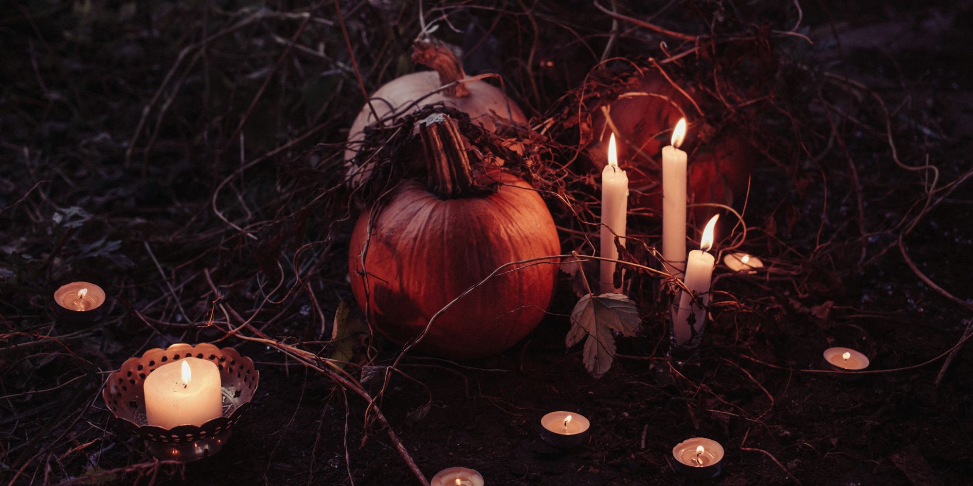 Image: freestocks/ Unsplash