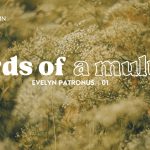 Image: Helena Jankovičová Kováčová/ Pexels