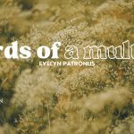 Image: Helena Jankovičová Kováčová/ Pexels