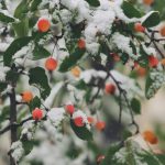 Image: John Price/ Unsplash