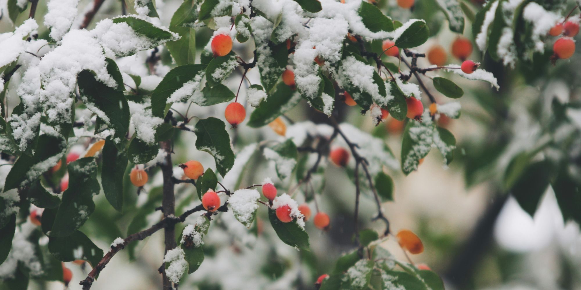 Image: John Price/ Unsplash