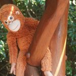 Image: IRa Kang/ Unsplash