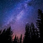 Image: Ryan Hutton/ Unsplash