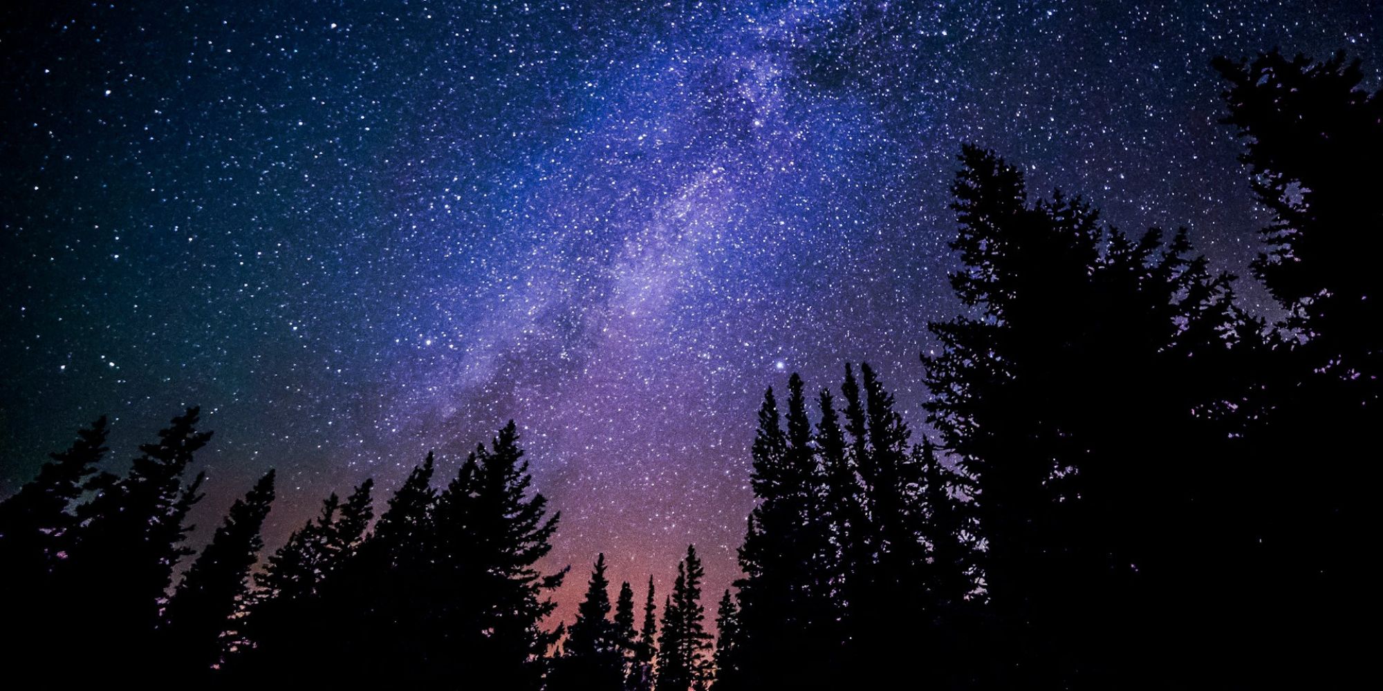 Image: Ryan Hutton/ Unsplash