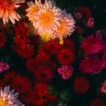 Image: Amid Hasan Emon/ Unsplash