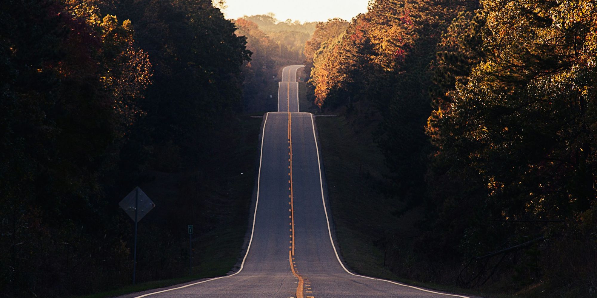 Image: Matt Foxx/ Unsplash