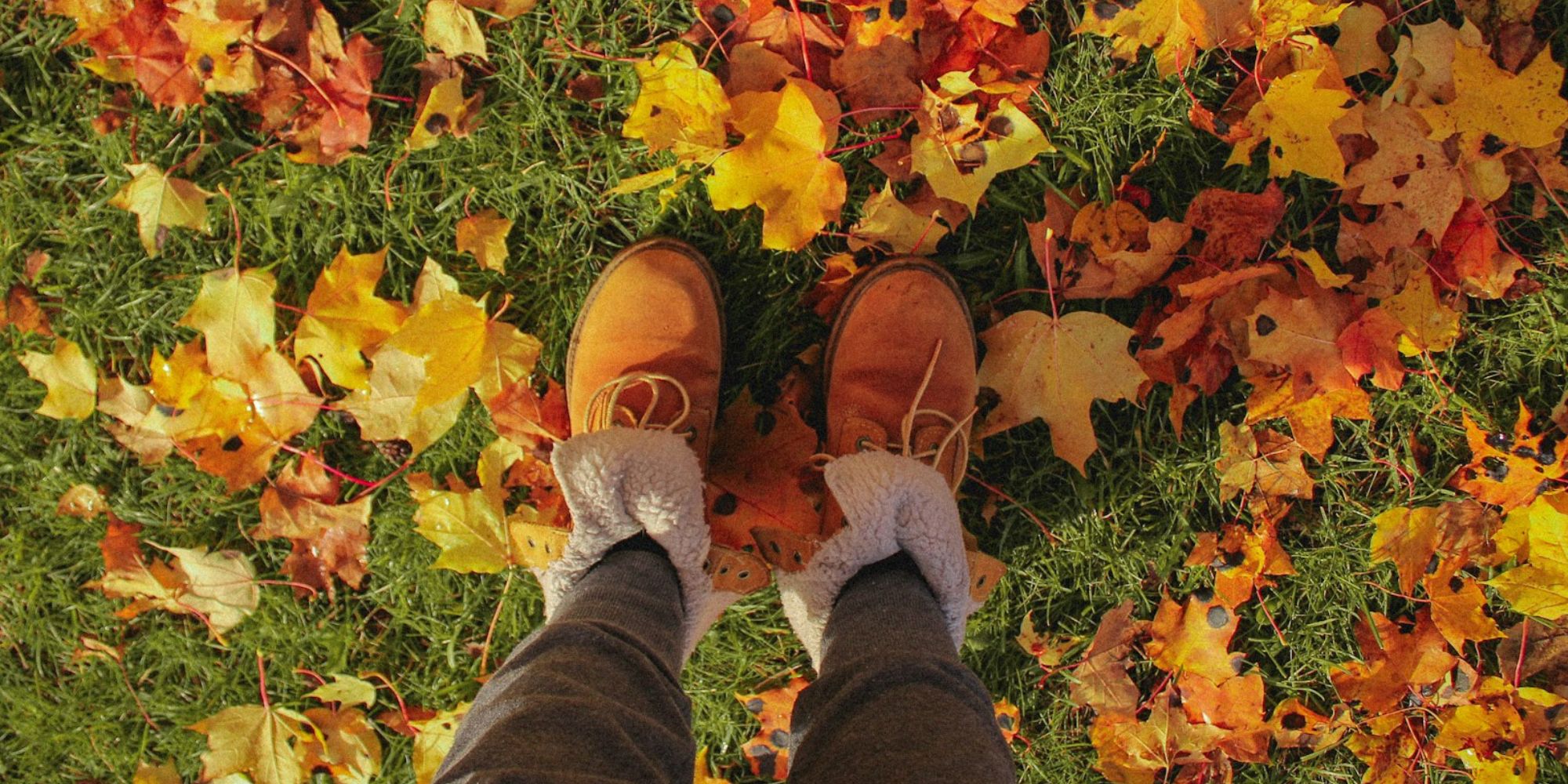 Image: K8/ Unsplash