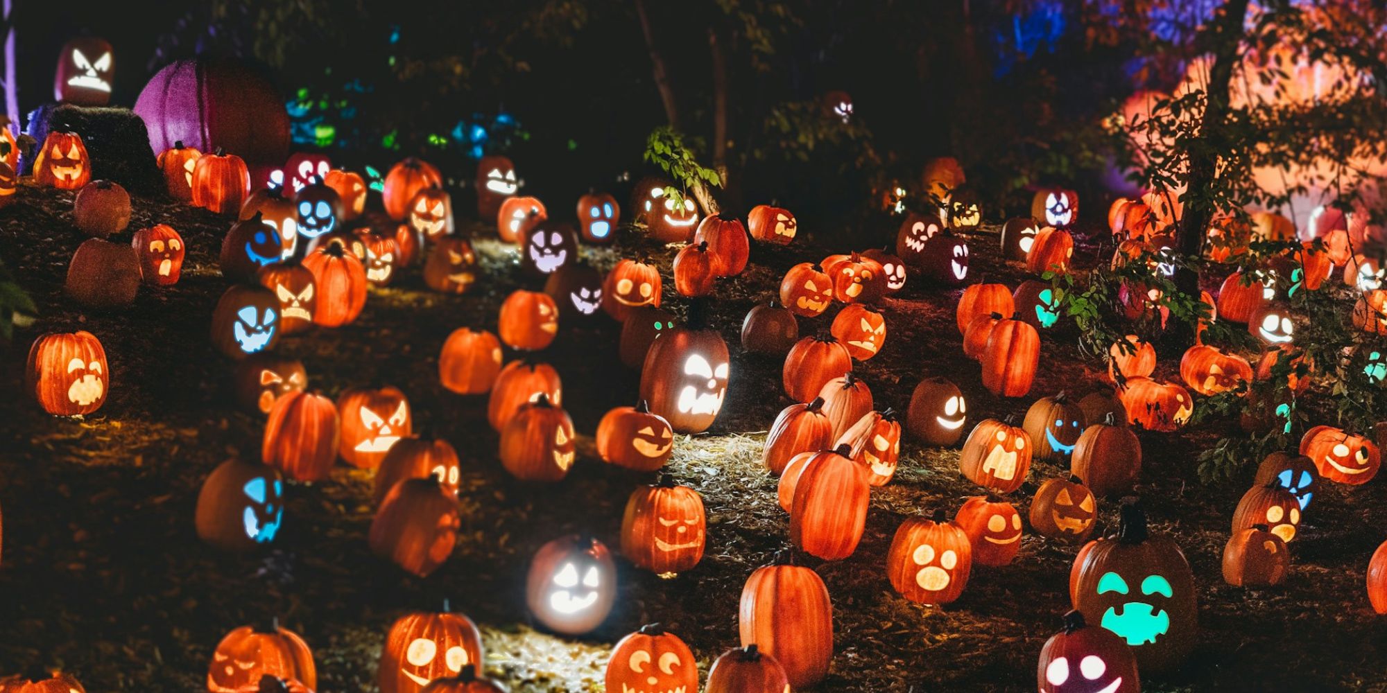 Image: Steven Van Elk/ Unsplash