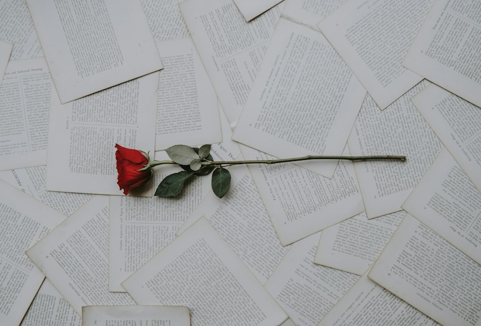 Image: Annie Spratt/ Unsplash